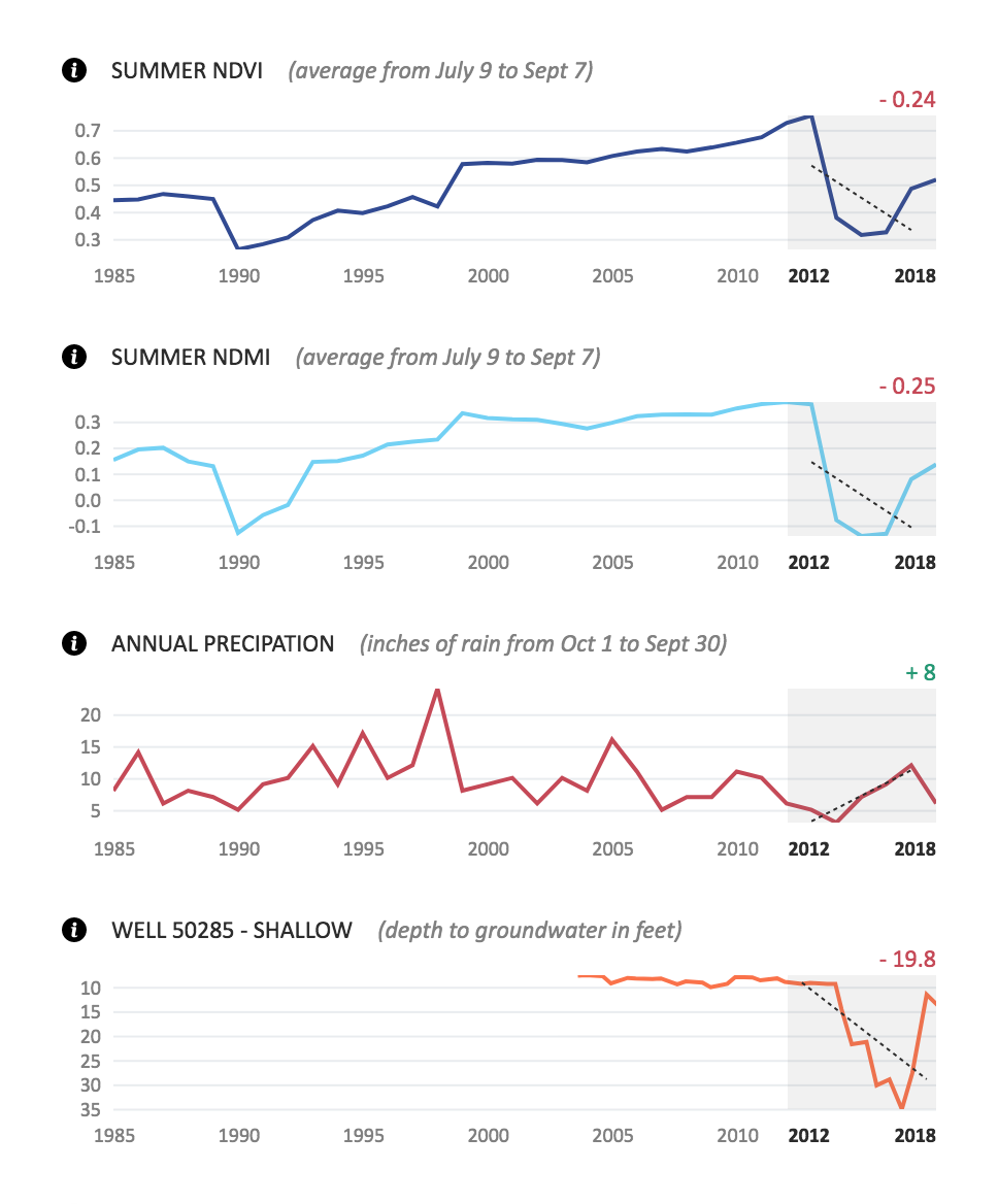 metric trends exhibit high correlation