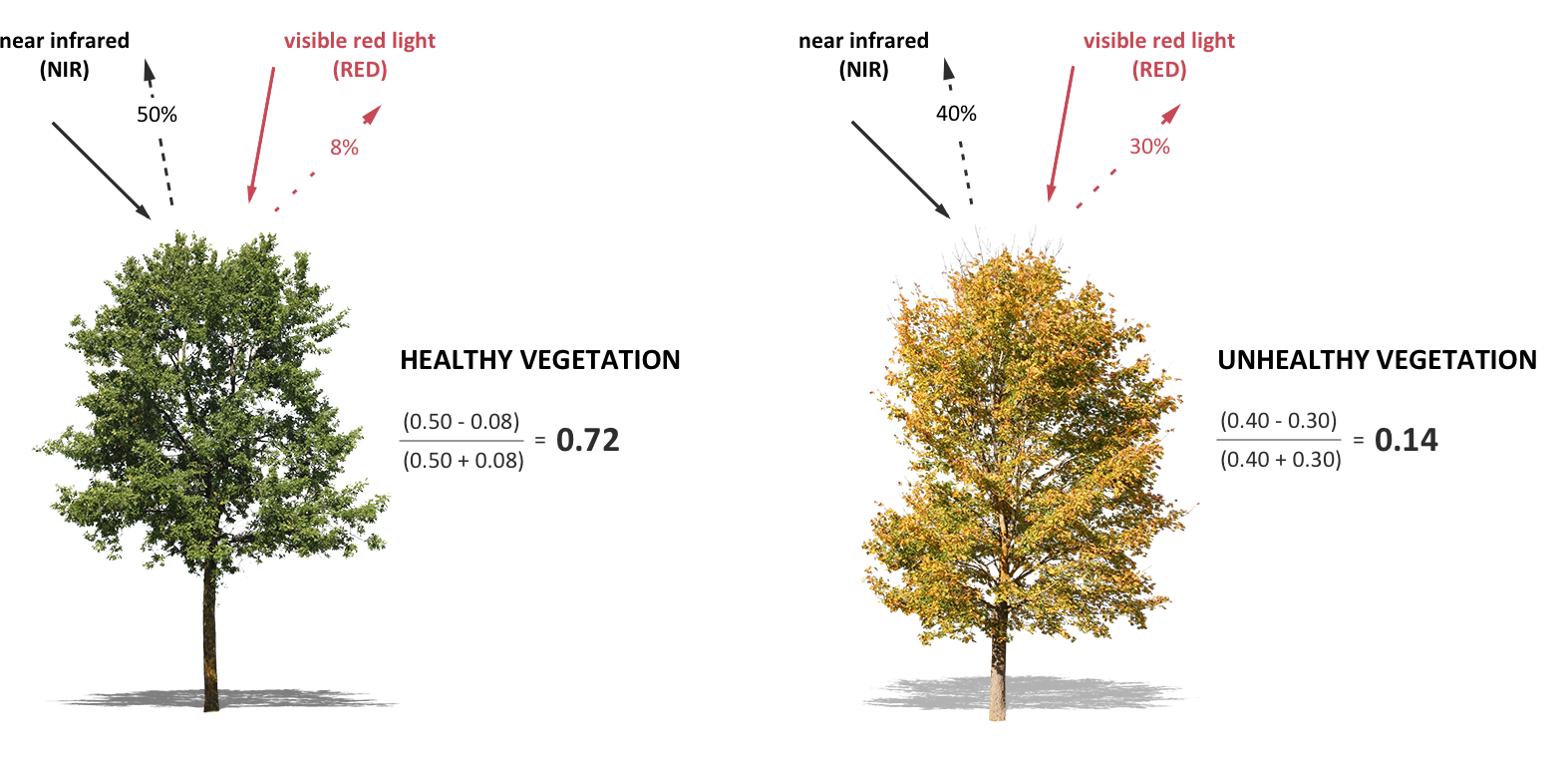 NDVI Illustration